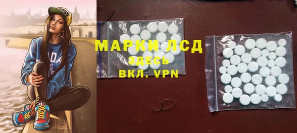 гашик Пересвет