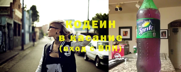 гашик Переславль-Залесский