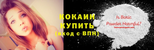 гидра Ленинск-Кузнецкий