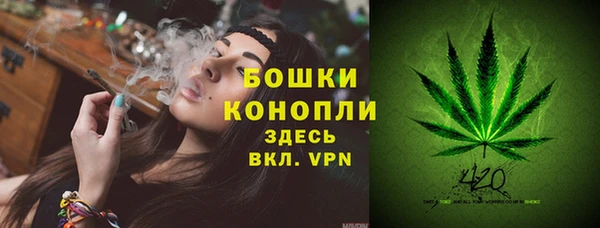 гашик Пересвет