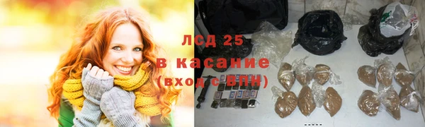 гашик Пересвет