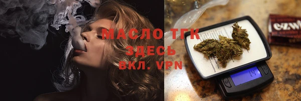 гашик Пересвет